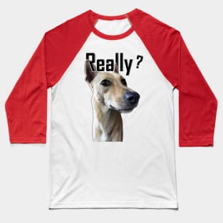 Curious Canine Chronicles: A Really? Moment Baseball T-Shirt